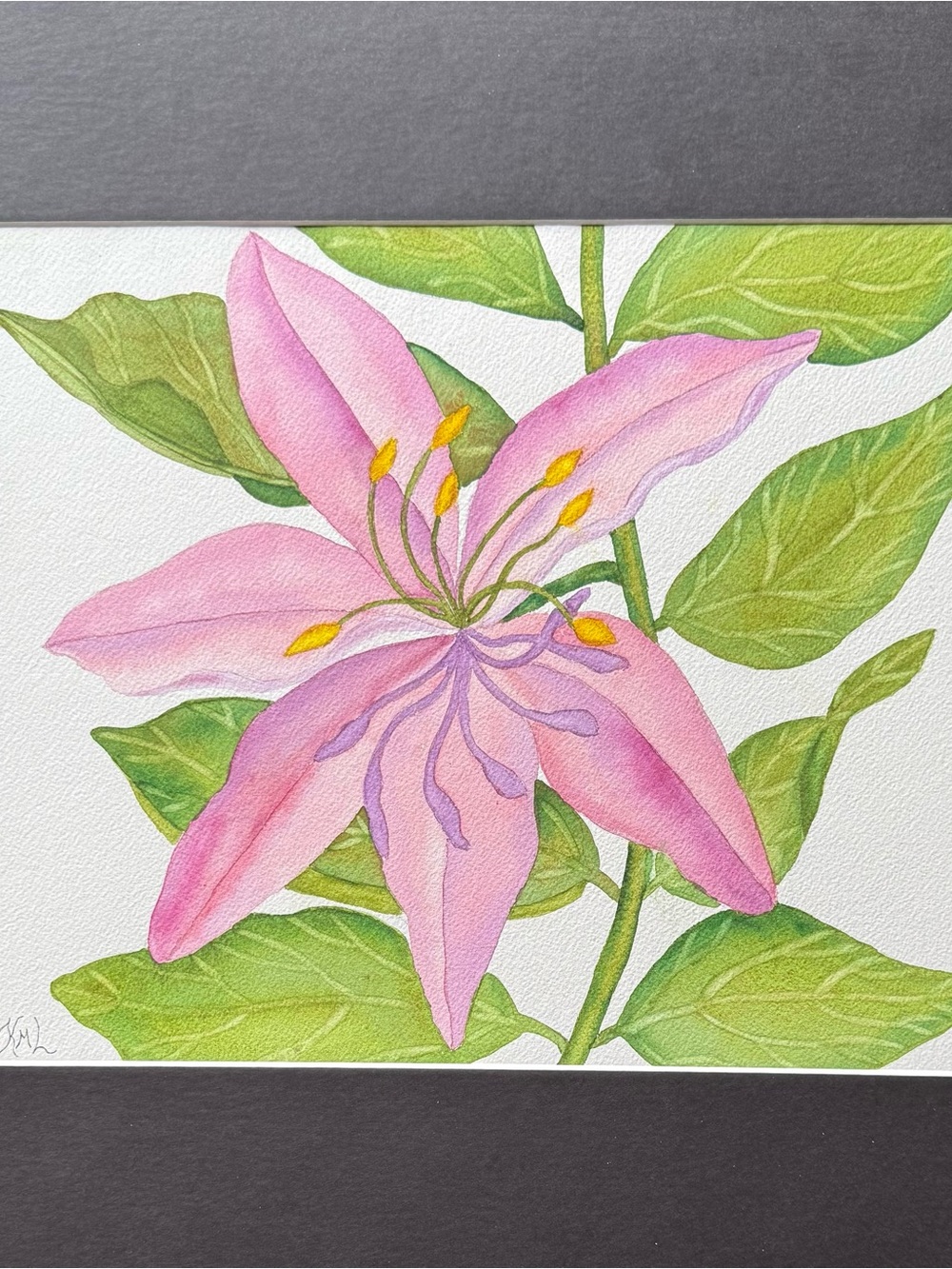 Painting Watercolor Flower Lily Pink Purple 11x14 & Black Mat 16x20 Original Art